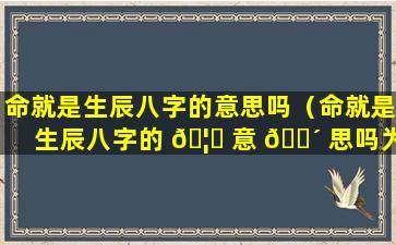 命就是生辰八字的意思吗（命就是生辰八字的 🦅 意 🐴 思吗为什么）